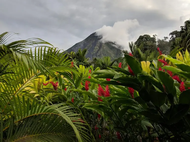 San Jose to La Fortuna